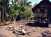 Tsunami victims in Papua New Guinea