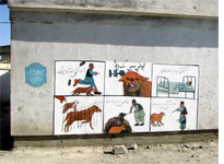 A mural on the side of a Kabul building warns about rabid dogs
