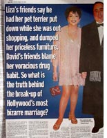 Liza and David in the Daily Mail