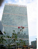 Betty Prior's view of the United Nations