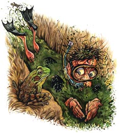 1_123125_2094553_2095986_2104256_040726_bogfrog Illustration by Keith Seidel