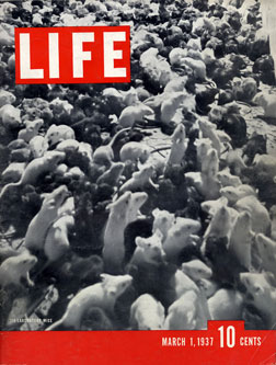 1937 Life Magazine cover.