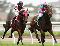 56_090512_ex_jockeytn Jockeys. Click image to expand.