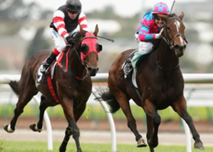 Do jockeys matter at all in horse racing?