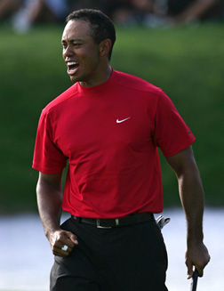 Tiger Woods. Click image to expand.