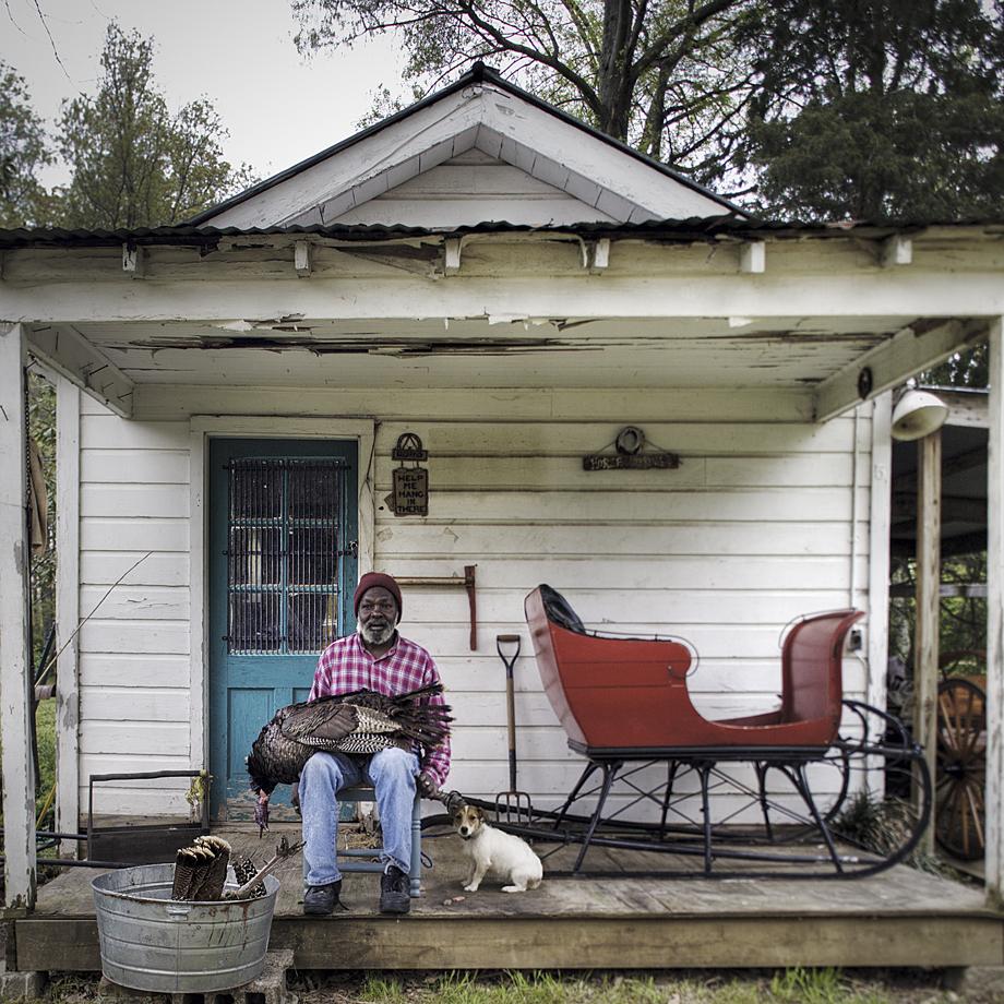 PORCH DOGS