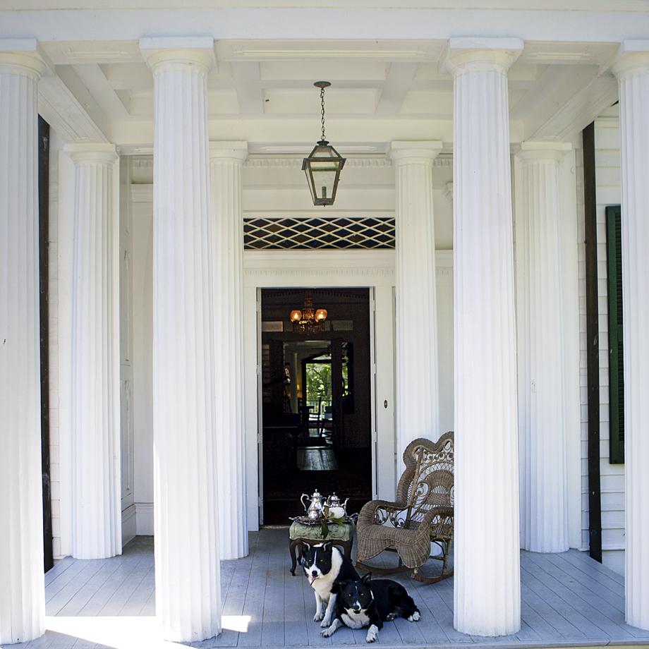 PORCH DOGS