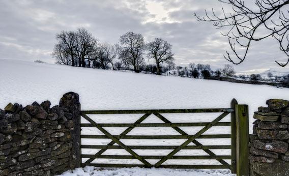 Farm gate in winter.