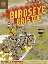birdseye