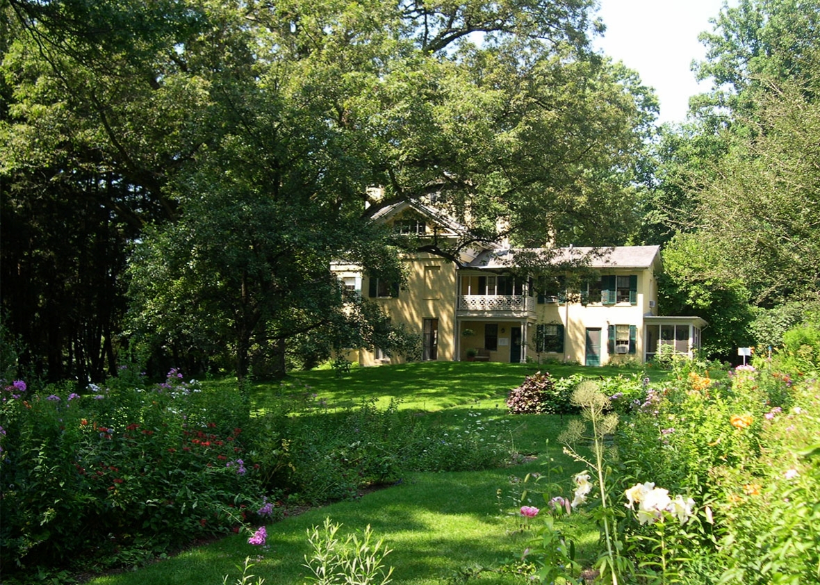 emily dickinson backyard. 