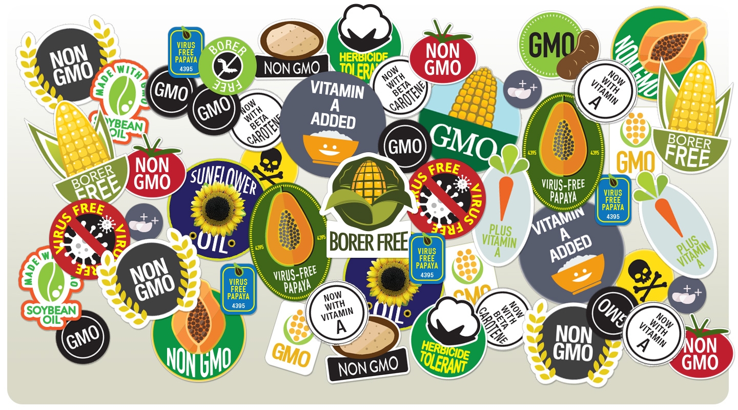 Image result for GMO