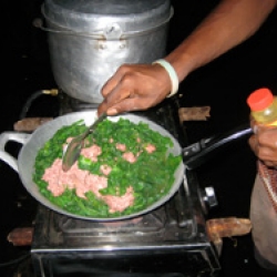 jungle fern and bully beef 