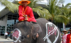 A protester and his elephant at the International AIDS Conference in Vienna.