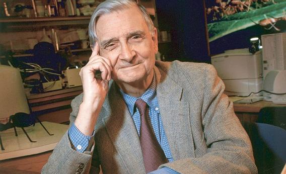 Edward O. Wilson in February 2003.