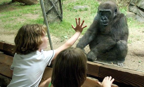 Children visiting the Bronx Zoo.