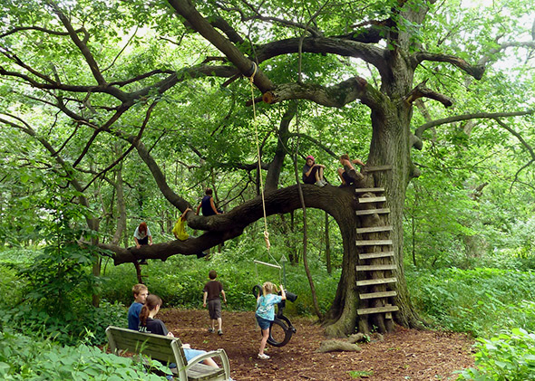 140522_SCI_KidsNature_tree Imagination Grove (a nature play area) at Sugar Grove Nature Center, McLean, IL, June 2011.
