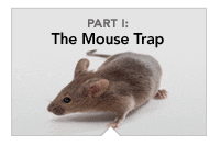 1: The Mouse Trap