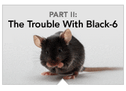 2: The Trouble With Black-6