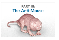 3: The Anti-Mouse