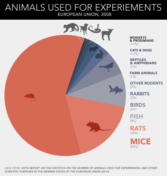 Animal Testing Statistics Chart