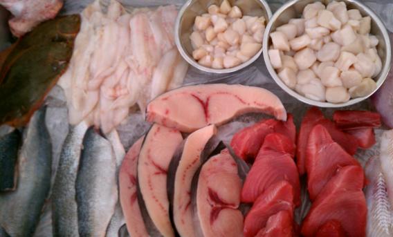 Fish stand at the farmer's market.