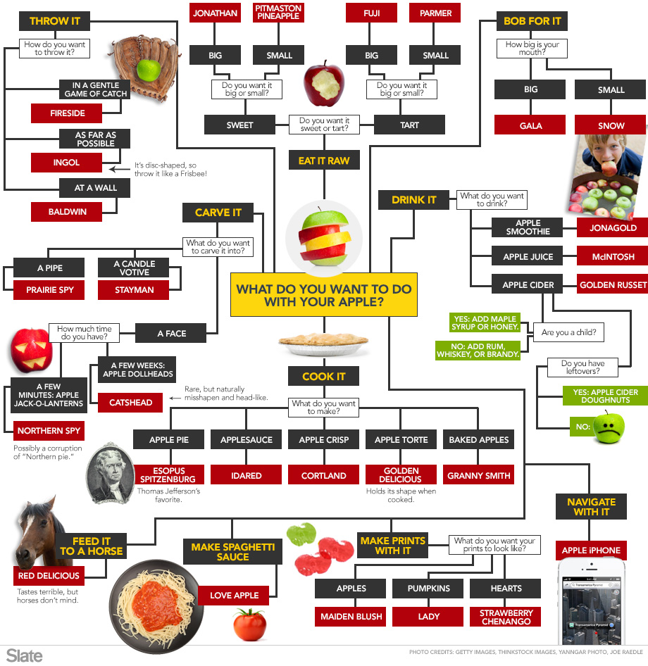 Apple Varieties Chart