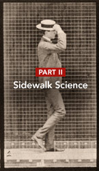 Sidewalk ScienceWhat's Your Walking Score