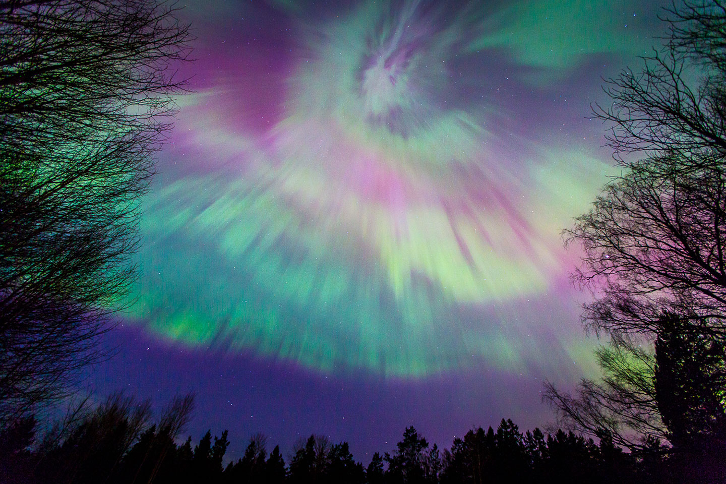 Northern lights: Gorgeous photos of the aurora borealis ...