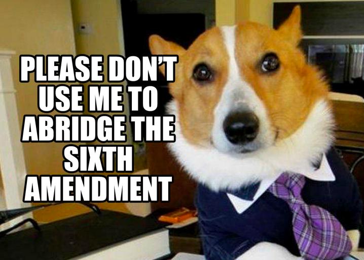 dog lawyer meme judge asks suspect says he