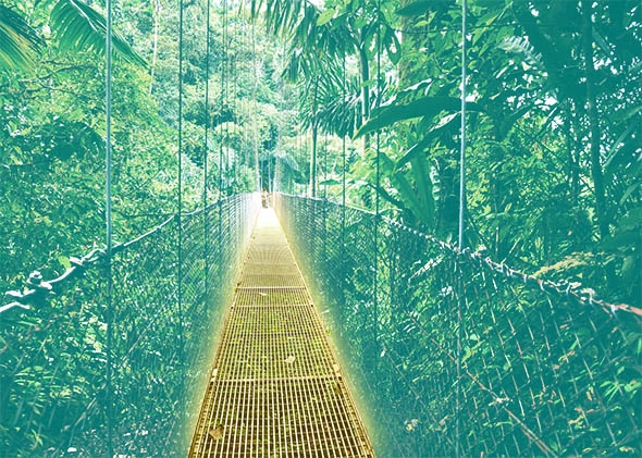 Hanging Bridges in Costa Rica's Arenal National Park.