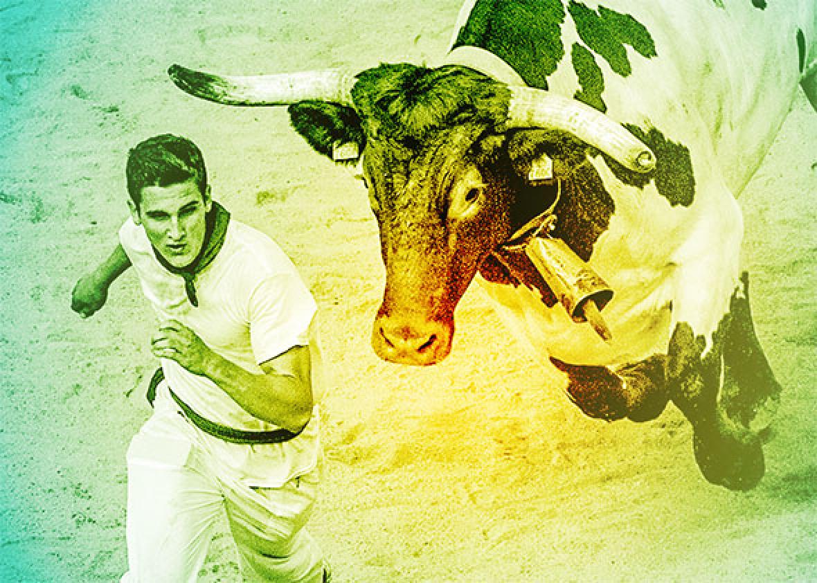 150820_QUIZ_Bulls 150820_QUIZ_Bulls