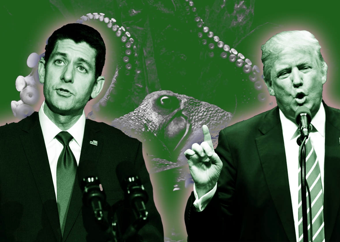 slate quiz. slate quiz.