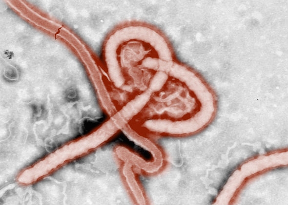 141007-thegist-ebola
