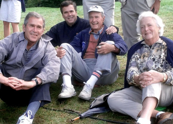 The Bushes.