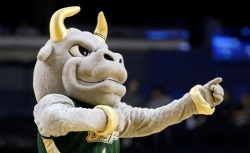 The South Florida Bulls mascot performs.