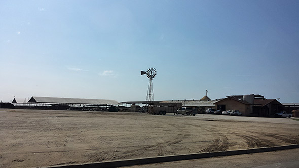 Industrial-size dairies, like this one, pepper the Central Valley. 