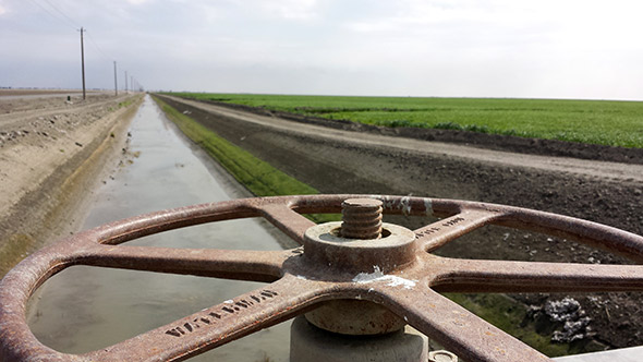 In the Central Valley, the diversion canals are turned to the &quot;off&quot; position this year.