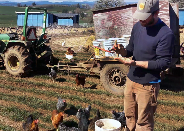 Joshua Simonson with his chickens.