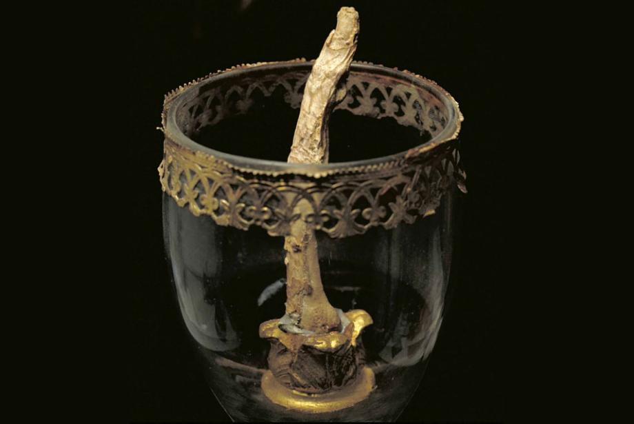 Galileo's fingers, tooth and vertebrae are in the Florence History of
