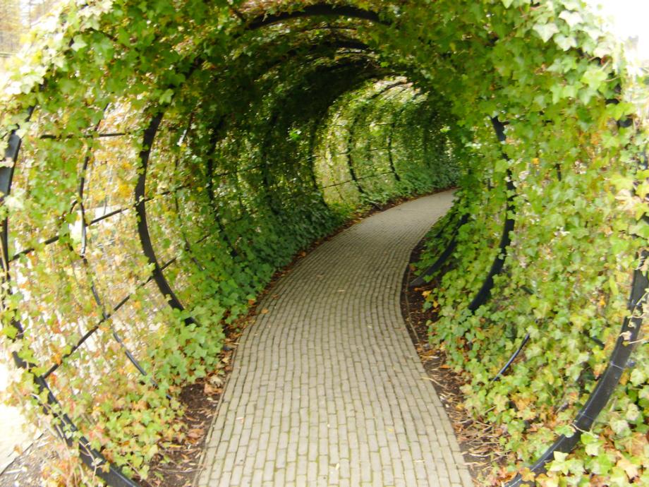 garden-tunnel