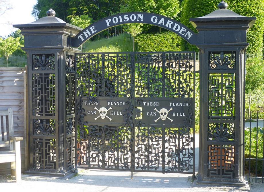 Alnwick Poison Gardens Where Plants Can Kill