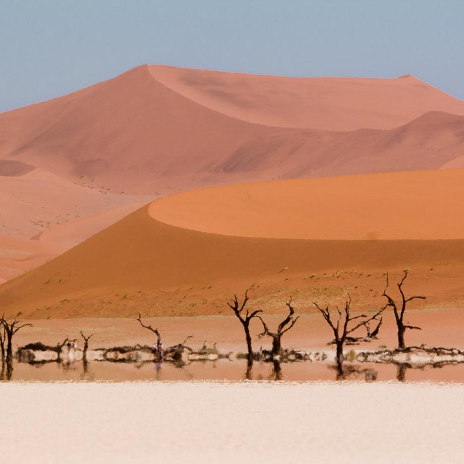 namib