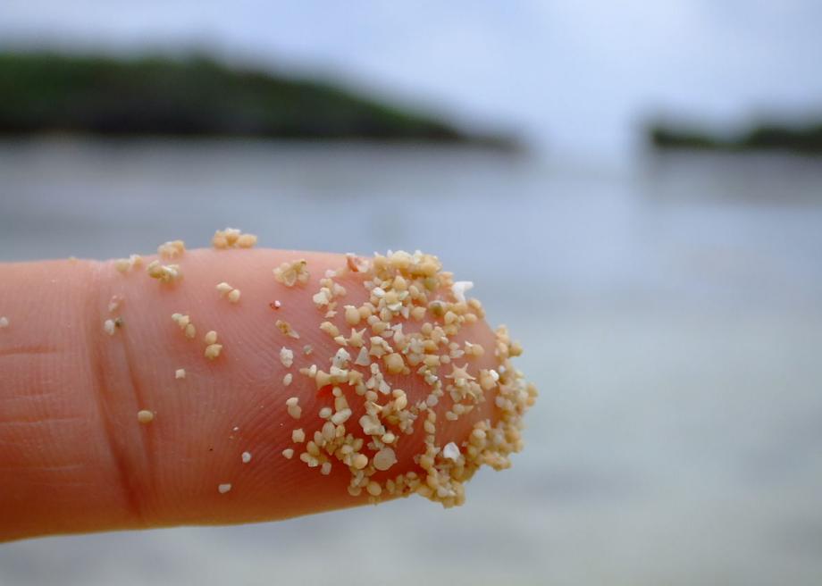 1200pxstar_sand_iriomote