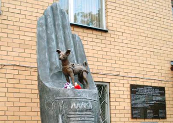 Laika Monument The heroic Russian space pup near Moscow.
