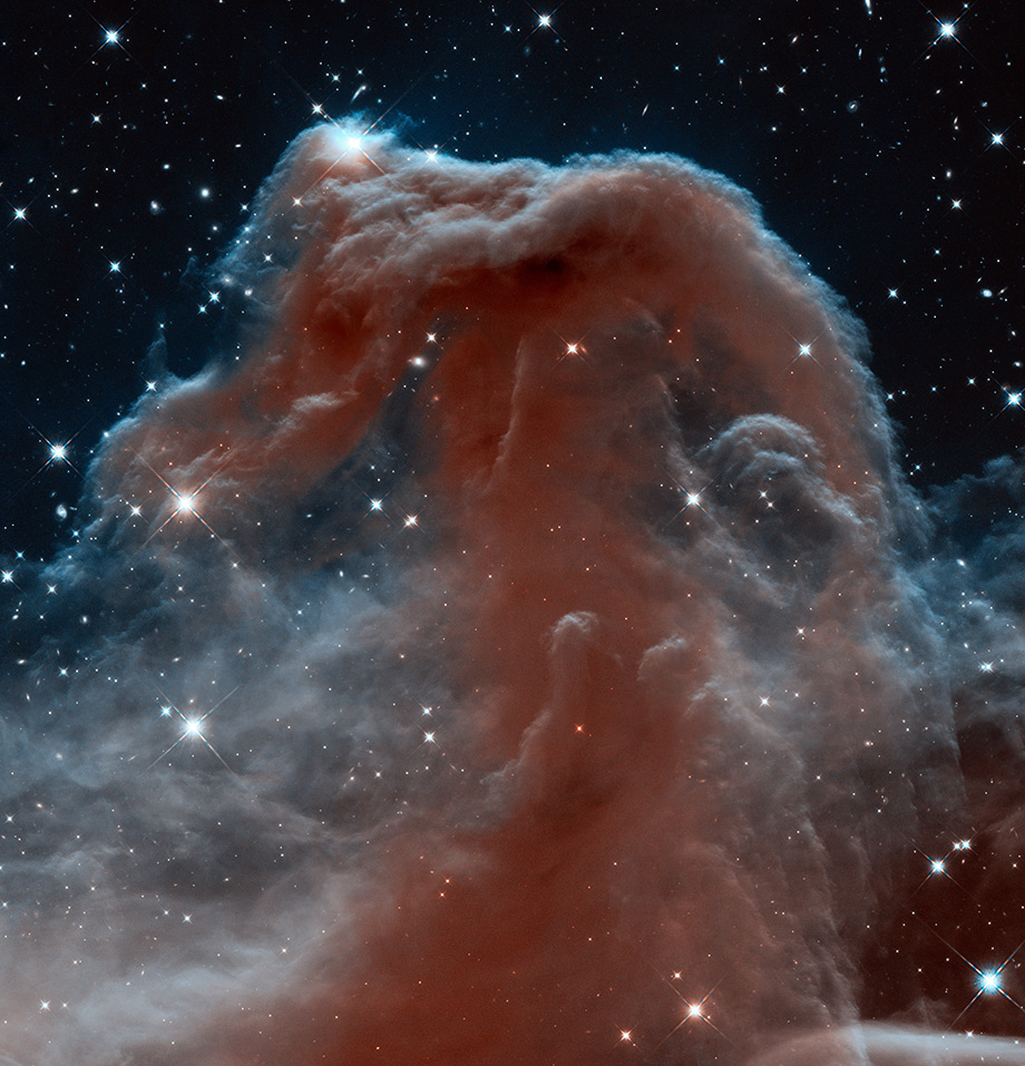hst_horsehead_920 Horsehead nebula