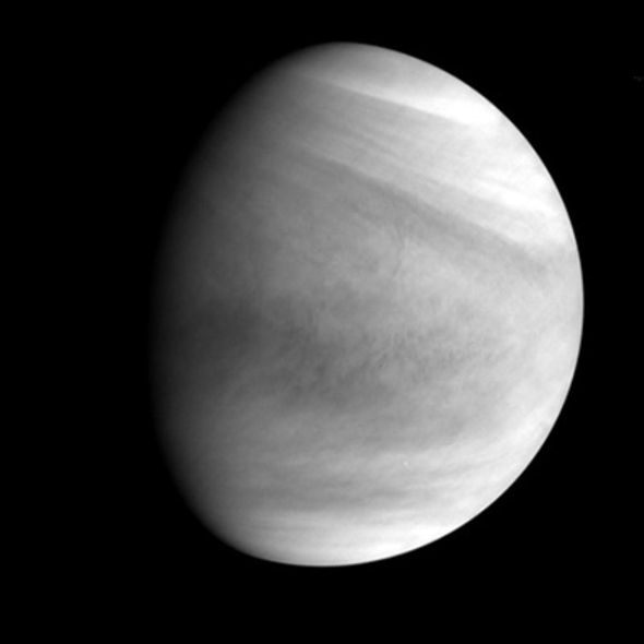 Venus in the ultraviolet