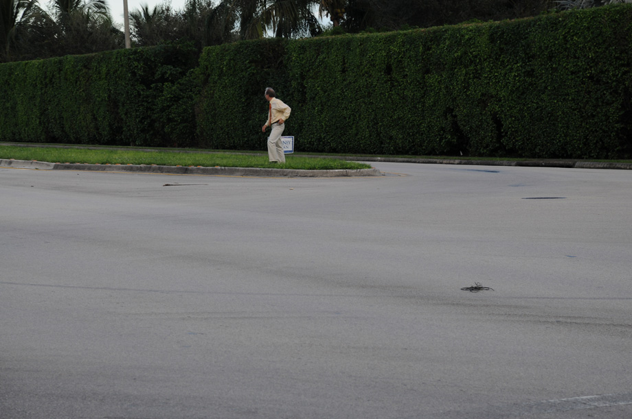 A man placing a Romney/Ryan sign on a median outside a gated community close to where Romney made his 47 percent remarks. Postcards from America