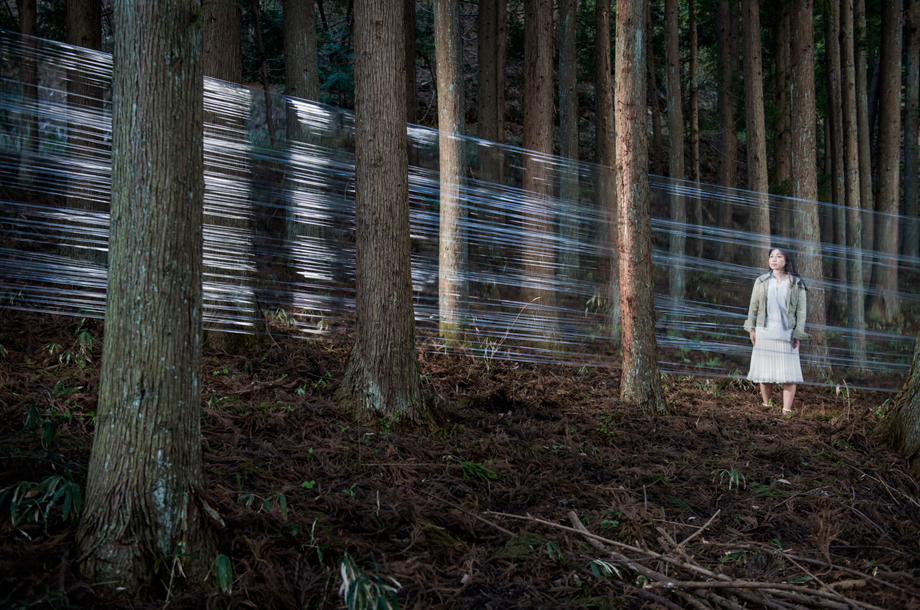 The forest of Kawamata, located 40 kilometres from the crippled Fukushima nuclear plant in the axis of contamination. Affected by contamination in &quot;leopard spot&quot; some very remote areas are more contaminated than others located closer to the plant.