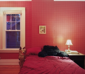 Untitled Interior (german shepherds), 2011