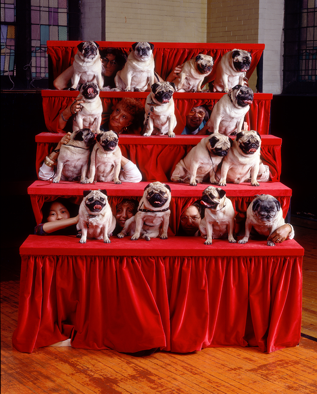 PUGS